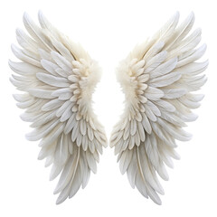 Fototapeta premium White angel wing isolated on transparent background.