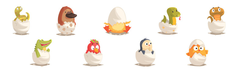 Chicks and Reptiles Hatch from Cracked Egg Shell Vector Set