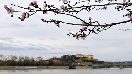 Petrovaradin Fortress by the Danube River in Novi Sad, in early spring