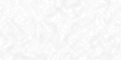 Abstract background vector. Abstract topographic contours map background. Abstract white pattern topography vector background. Black and white topography contour line map isolated on white background.