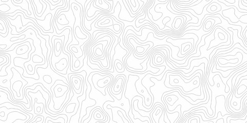 Abstract background vector. Abstract topographic contours map background. Abstract white pattern topography vector background. Black and white topography contour line map isolated on white background.