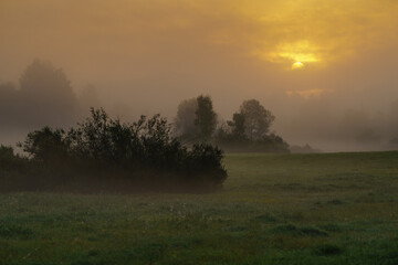 morning mist over the field