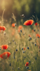 Fototapeta premium Beautiful summer meadow with wild flowers poppies and bee on background summer landscape nature scen