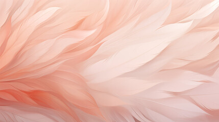 Soft abstract pastel feathers in coral pink, peach shades, elegant background with a place to copy