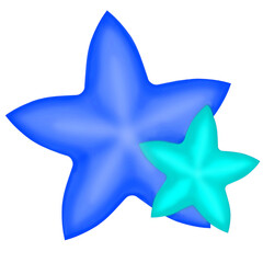 Obraz premium Blue star isolated, blue star isolated on white, star fruit, star, blue star, icon, star shape, png, sticker of stars, png star, star element, star design, decoration, star sticker, icon of star