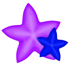 Purple star isolated, red star isolated on white, star fruit, star, purple star, purple and blue star, star shape, png, sticker of stars, png star, star element, star design, decoration, star sticker