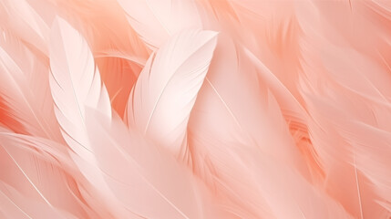 Soft abstract pastel feathers in coral pink, peach shades, elegant background with a place to copy