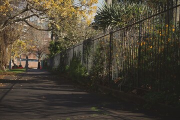 Naklejka premium autumn in the park