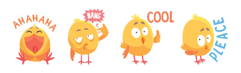 Baby Chick Say Word with Emotion and Inscription Vector Set