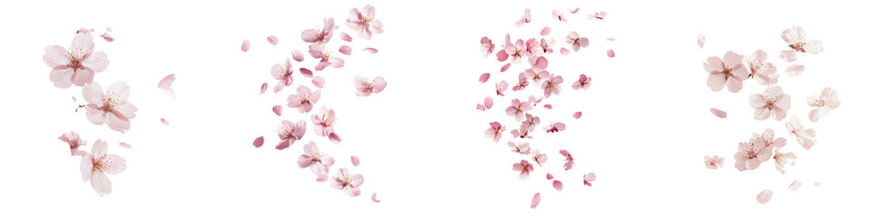 Enchanting Cherry Blossoms Petals Drifting in Soft Pink and White Tones Creating Ethereal Floral Backdrop for Spring Cards Invitation Social Media Poster or Banner