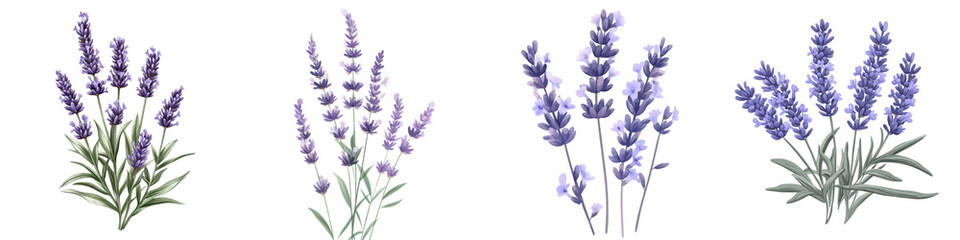 Naklejka premium Vibrant Purple Lavender Flowers Blooming in Lush Botanical Garden Beautiful Aromatic Lavender Bouquet in Rural Countryside Meadow Peaceful and Serene Floral Nature Landscape