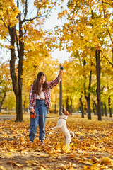 Girl playing in autumn park with a funny Jack Russell Terrier.