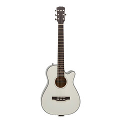 Obraz premium acoustic guitar isolated