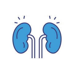 Kidney vector icon stock illustration