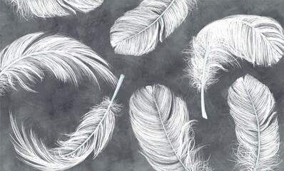 Feathers. Beautiful vintage feathers. Wallpaper for the bedroom. Watercolour feathers. Light airy pattern. Bird feather.
