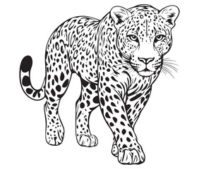 Silhouette of a leopard vector 
