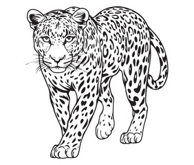 Silhouette of a leopard vector 