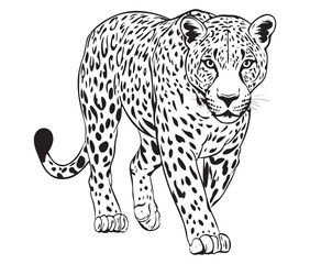 Silhouette of a leopard vector 