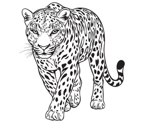 Silhouette of a leopard vector 