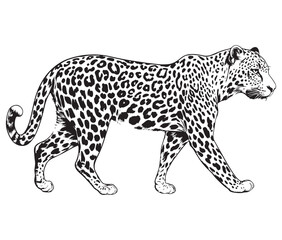 Silhouette of a leopard vector 