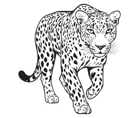 Silhouette of a leopard vector 