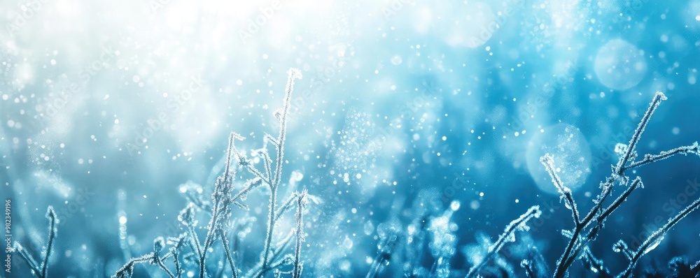 Poster a serene, dreamy backdrop featuring delicate frost and sparkling light, perfect for winter-themed de
