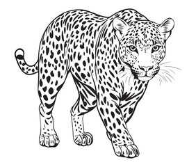 Silhouette of a leopard vector 