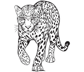 Silhouette of a leopard vector 
