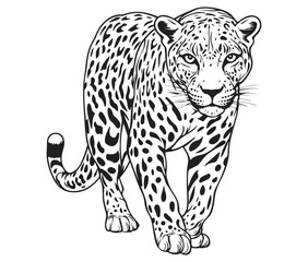 Silhouette of a leopard vector 