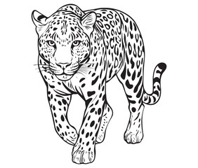 Silhouette of a leopard vector 