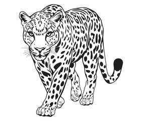 Silhouette of a leopard vector 