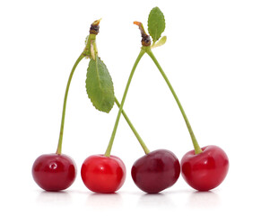 Bunch of ripe cherries with green leaves.