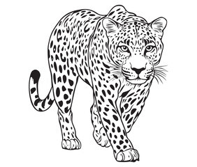 Silhouette of a leopard vector 
