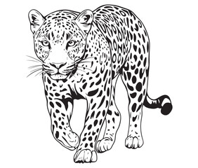 Silhouette of a leopard vector 