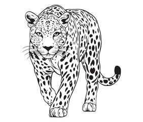 Silhouette of a leopard vector 