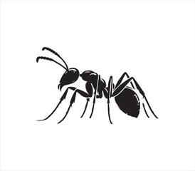 Ant silhouette vector on white background