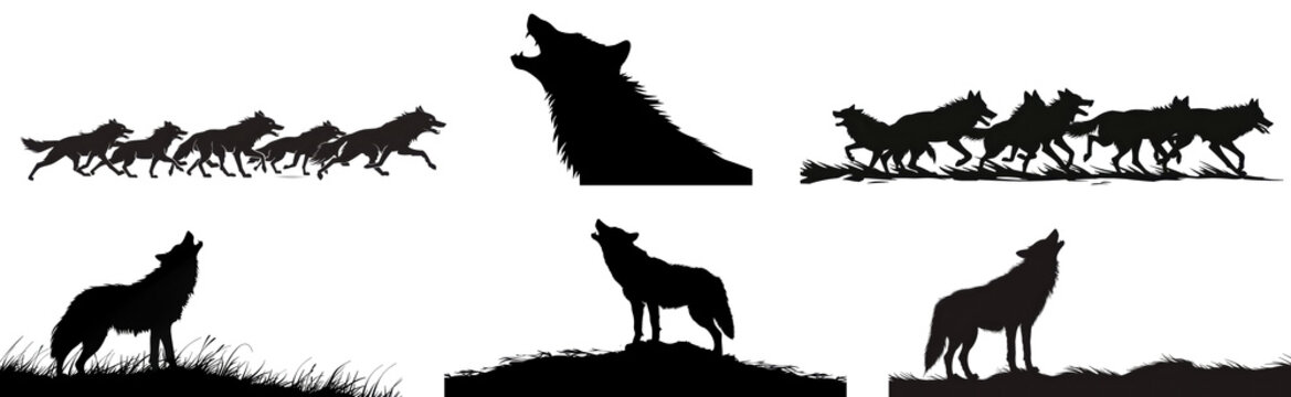 A series of images of wolves running in a line