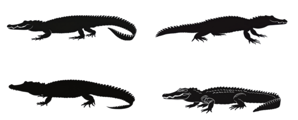 Four different types of crocodiles are shown in black and white