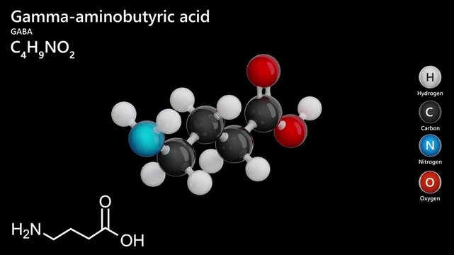 A detailed 3D animation of the chemical structure of gamma-aminobutyric acid (GABA). C4H9NO2. The main role of GABA is to reduce the excitability of neurons throughout the nervous system. 3D render