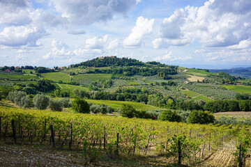 Obraz premium A scenic view of a vineyard in the rolling hills of Tuscany, Italy, under a cloudy sky. Ideal for agriculture, travel, and rural landscape content.