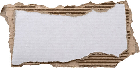 piece of white paper tear isolated on white background