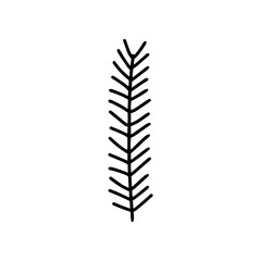 Fir branch in doodle style, simple.