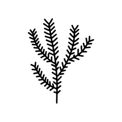 Fir branch in doodle style, simple.