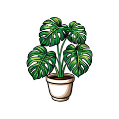 Illustration of a lush green monstera plant in a modern ceramic pot.