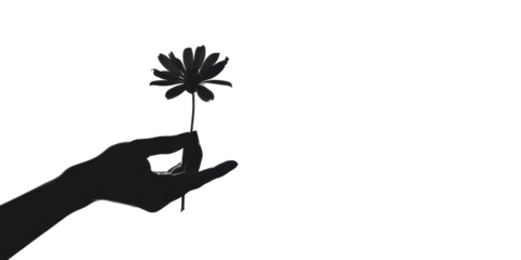 A hand holding a flower