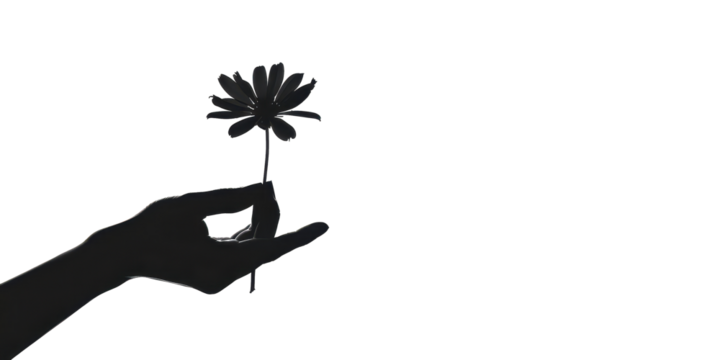 A hand holding a flower