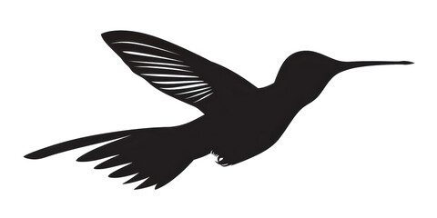 Obraz premium A black and white bird with a long beak flying in the air