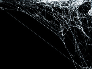 White threads of spider web on right angle corner close up view isolated on black