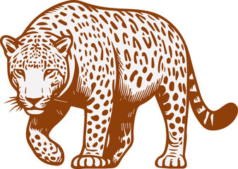 Leopard or panther, wild animal, vector illustration of a wild leopard
