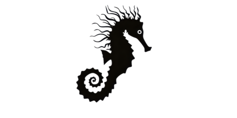 A black and white drawing of a seahorse